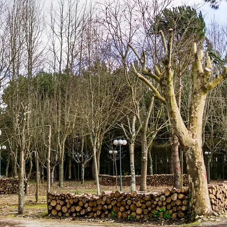 Quinta Da Mafalda Casa rural *