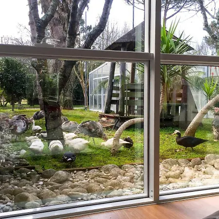 Quinta Da Mafalda Casa rural