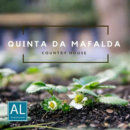 Casa rural Quinta Da Mafalda Mira (Coimbra)